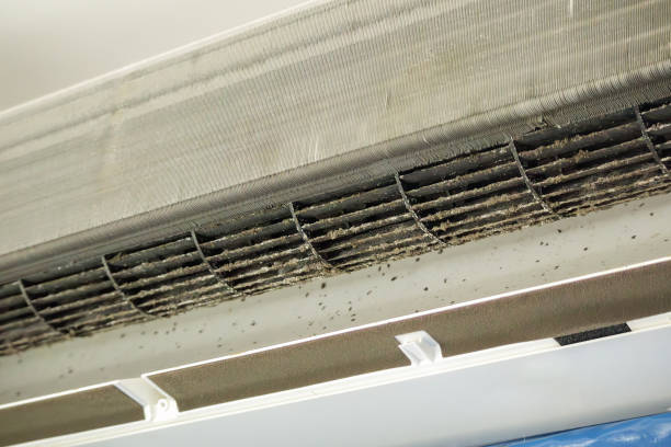 Best Professional Duct Cleaning Services  in Redan, GA